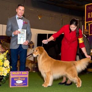 Meet your Posher, Lori